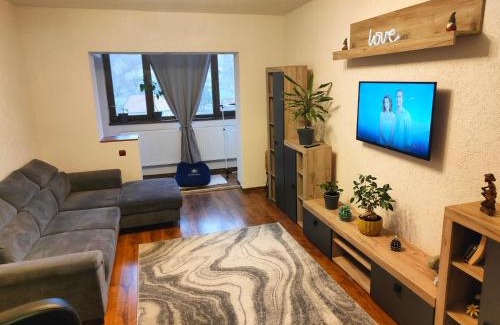 Petrosani Appartement | Mountain View Apartment