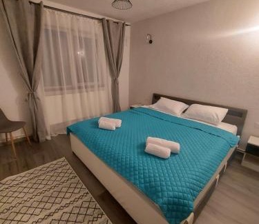 Petrosani Appartement | Mountain View Apartment