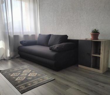 Petrosani Appartement | Mountain View Apartment