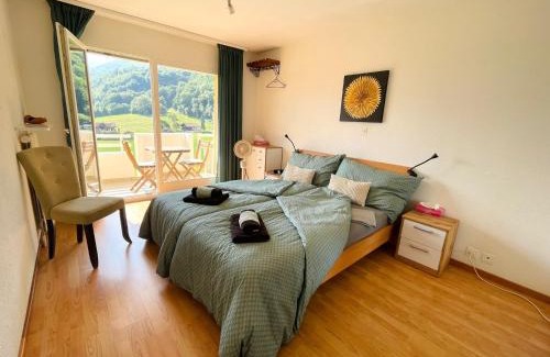 Monthey Appartement | Mountain View
