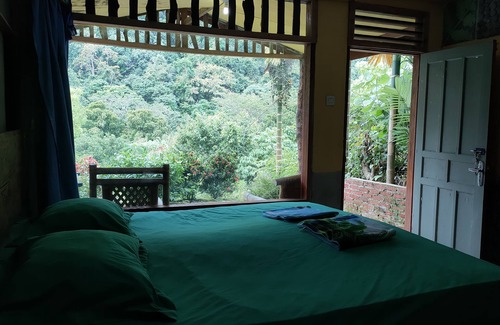 Batang Serangan Maison | Mountain View Cottages & Villa Tangkahan