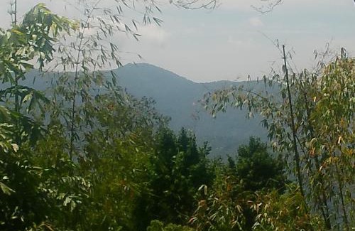 Turuk Maison | Mountain View Homestay Kalimpong