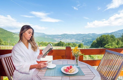 Mojkovac Villa | Mountain Villa Goldilocks with Interior Pool