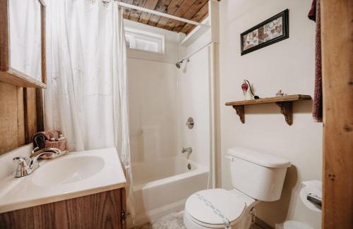 Maple Falls Appartement | Mt Baker Apt, Pets OK, WIFI and AC