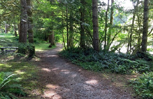 Glacier Appartement | Mt. Baker Lodging Condo 31- Sleeps 2!