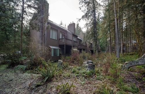 Glacier Appartement | Mt. Baker Lodging Condo 68 - Sleeps 4!