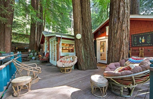 Mount Hermon Maison | Mt. Hermon Treehouse