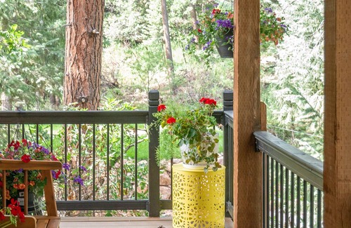 Palmer Lake Maison | Mtn Cottage | Hot Tub, Sauna | In-House Wellness