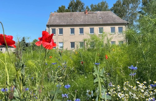 Zettemin Appartement | "MTS Haus - Zettemin" Family-friendly vacation apartments in Mecklenburg