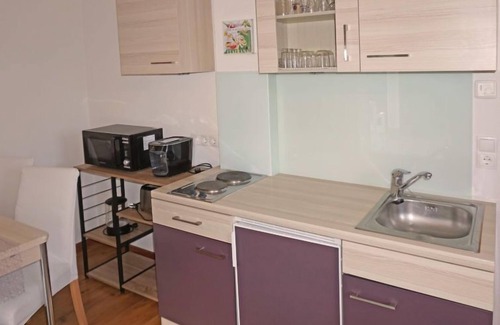 Fliess Appartement | Muehlbach by Interhome