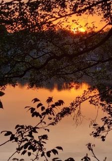 Lagow Maison | Mundi dom nad jeziorem max 6 osób prywatna plaża z pomostem