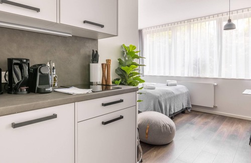 Hasenbergl-Lerchenau Ost Appartement | Munich Olschewskibogen | Suite