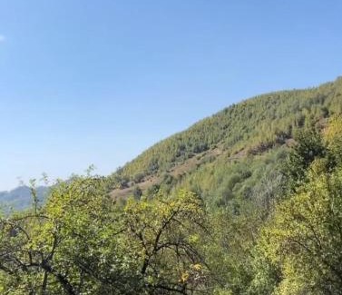 Sotrile Chalet De Ski | Mura Doftana