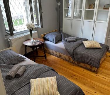 Rackeve Appartement | Museum Apartment in the City Center