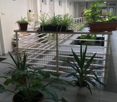 Heviz Appartement | Muskátli Apartmanház