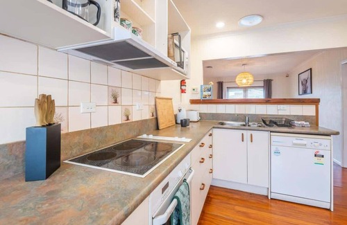 Rotorua Maison | MTBs & Mud Pools, Mutts