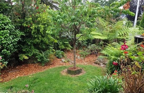Rotorua Maison | MTBs & Mud Pools, Mutts