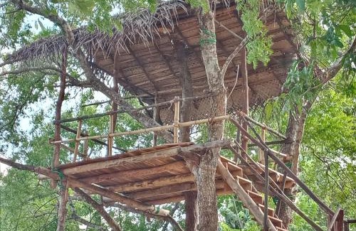 Hingurakgoda Station Balnéaire | Muwan Palassa Resort