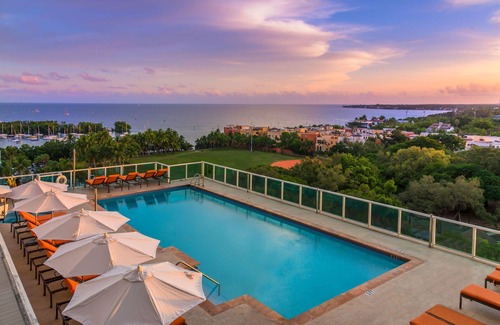 Coconut Grove Appartement | NOUVEAU COIN, VUE OCÉAN. GRATUIT: PARKING, PISCINE, GYM, SQUASH, PRIVÉ 75MB WI-FI