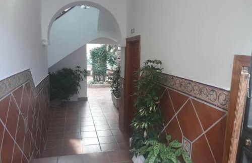 San Francisco-Ribera Appartement | My Andalusian Passion Mi Pasion Andalusi