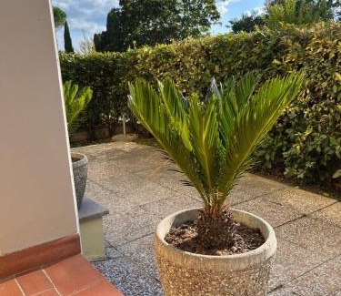 Peccioli Appartement | My Home in Peccioli