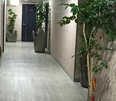 Luodong Hôtel | My House Hotel 宜蘭縣旅館280號