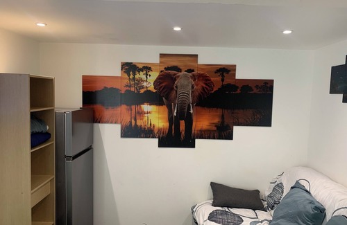 Joinville-le-Pont Appartement | MY SAFARI NEAR THE MARNE