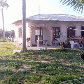 La Ville Haute Maison | My small farm 20 minutes from Kénitra Behind Kénitra Atlantic Free Zone