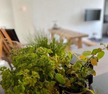 Irrel Appartement | Mya Lenas Suite