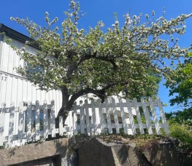 Uddevalla Appartement | Mysig lägenhet, nära det mesta!