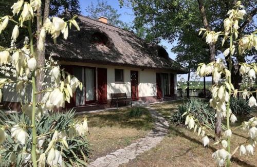 Orgovany Maison | Nádas Tanya 2 maisons en pleine nature et Piscine