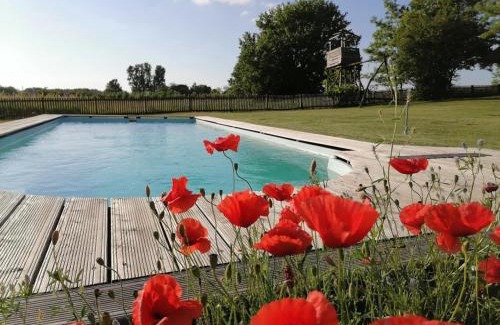 Orgovany Maison | Nádas Tanya 2 maisons en pleine nature et Piscine