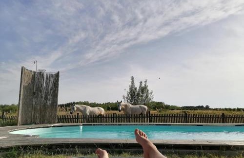 Orgovany Maison | Nádas Tanya 2 maisons en pleine nature et Piscine