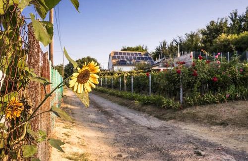 Alsonana Villa | Nánaháza
