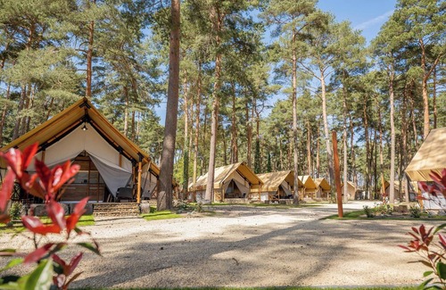 Zutendaal Cabine | Glamping tent for 4 persons and an upper floor