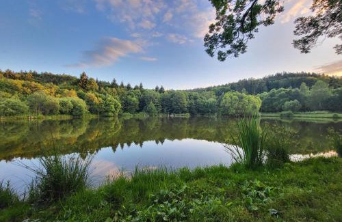 Szczytna Maison | Na Dębowej- Dom na wyłączność, Prywatny Las, 2 pokoje, Polanica Zdrój