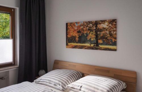 Birkelback Appartement | Nachhaltige-Ferienwohung-Wisentsteig-Wandern-Waldbaden-Wohlfuehlen