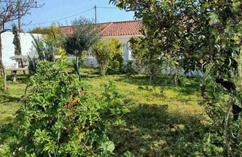 Asini Maison | Nafplio Cottage-Grandma's Yard