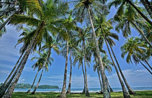 Samara Hôtel | Nammbú Beach Front Bungalows