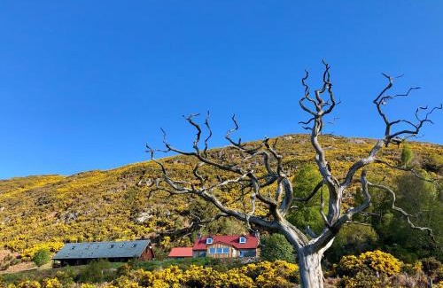 Glen Urquhart Maison | Nan's Cottage