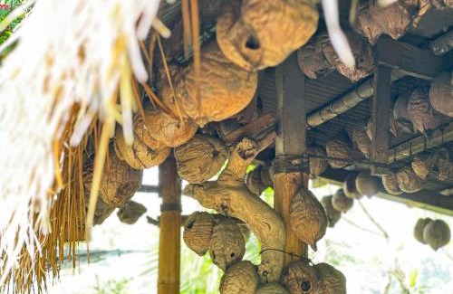 Taro Maison | Nang Taro Home Stay