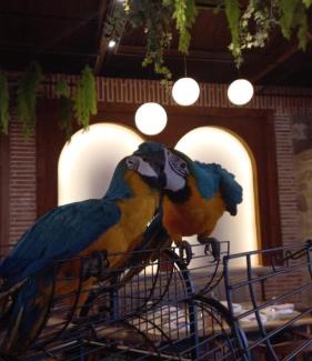 Petrele Maison | Nano Bio Food Farm