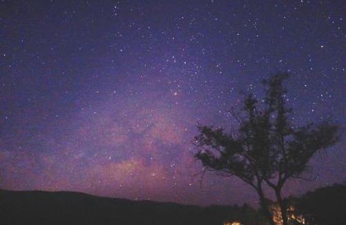 Phrao Autre | Napahong Treehouse forest camp