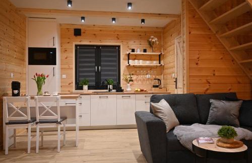 Zieleniec Chalet De Ski | Nartorama Domki Zieleniec