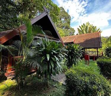 Kuala Tahan Station Balnéaire | National Park Mutiara - Kuala tahan
