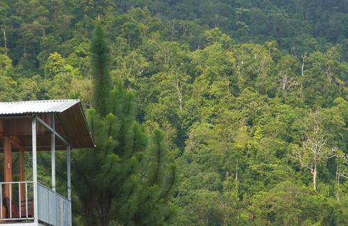 Baru Cabine | Native Baru : Morpho Cabin