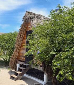 Villa de Tututepec de Melchor Ocampo Autre | Nattivo Chacahua