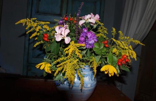 Vierlinden Maison | Natur erleben und Ruhe genießen