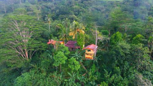 Deniyaya Cabine | Natural Mystic Sanctuary