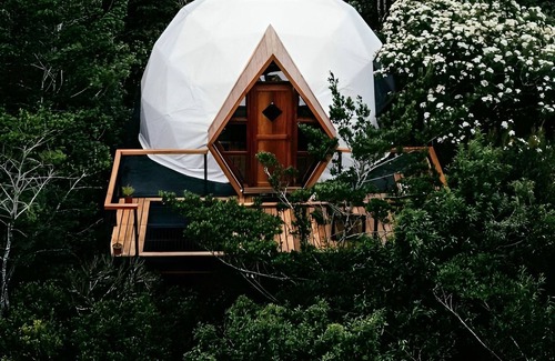 Monteverde Cabine | Naturave #2 Into the woods